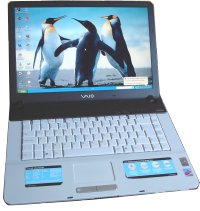 Sony Vaio Laptop VGN-FS315M